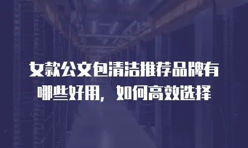 女款公文包清洁推荐品牌有哪些好用，如何高效选择