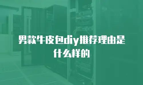 男款牛皮包diy推荐理由是什么样的