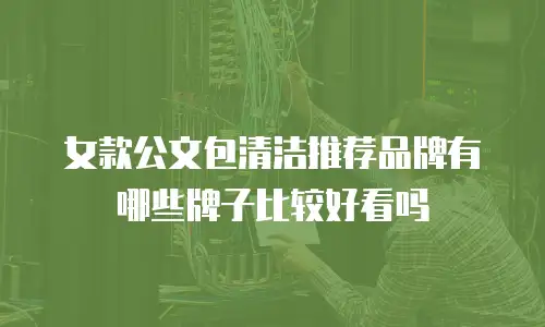 女款公文包清洁推荐品牌有哪些牌子比较好看吗