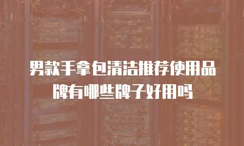 男款手拿包清洁推荐使用品牌有哪些牌子好用吗