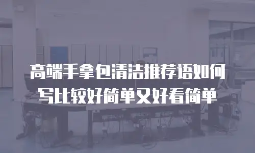 高端手拿包清洁推荐语如何写比较好简单又好看简单
