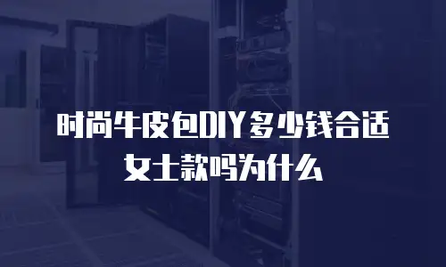 时尚牛皮包DIY多少钱合适女士款吗为什么