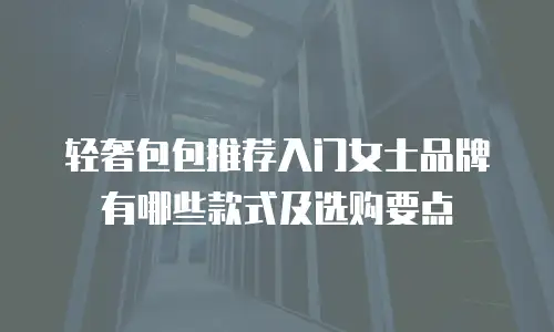 轻奢包包推荐入门女士品牌有哪些款式及选购要点