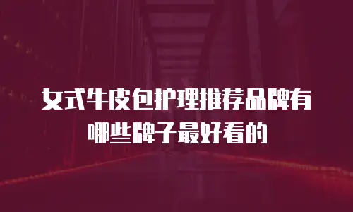 女式牛皮包护理推荐品牌有哪些牌子最好看的