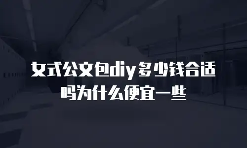 女式公文包diy多少钱合适吗为什么便宜一些