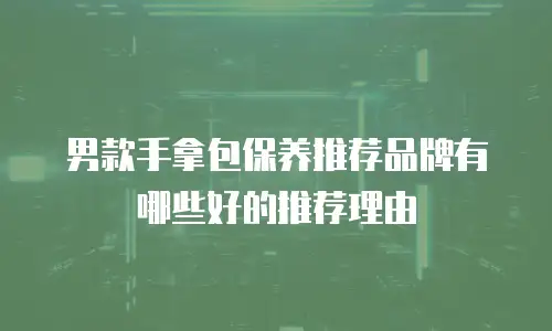 男款手拿包保养推荐品牌有哪些好的推荐理由