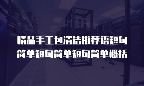 精品手工包清洁推荐语短句简单短句简单短句简单概括