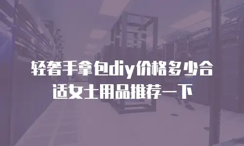 轻奢手拿包diy价格多少合适女士用品推荐一下