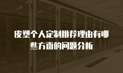 皮塑个人定制推荐理由有哪些方面的问题分析