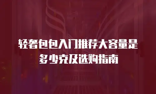 轻奢包包入门推荐大容量是多少克及选购指南