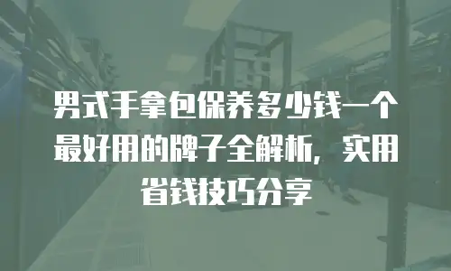 男式手拿包保养多少钱一个最好用的牌子全解析，实用省钱技巧分享