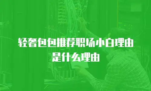 轻奢包包推荐职场小白理由是什么理由