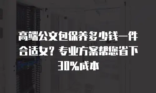 高端公文包保养多少钱一件合适女？专业方案帮您省下30%成本