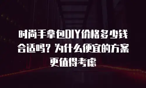 时尚手拿包DIY价格多少钱合适吗？为什么便宜的方案更值得考虑