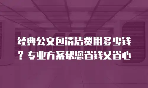 经典公文包清洁费用多少钱？专业方案帮您省钱又省心
