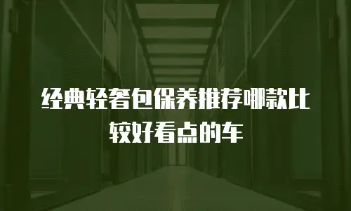 经典轻奢包保养推荐哪款比较好看点的车
