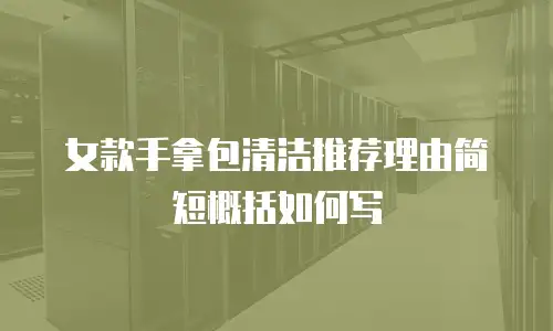 女款手拿包清洁推荐理由简短概括如何写