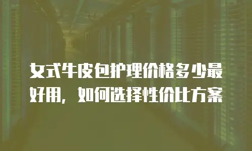 女式牛皮包护理价格多少最好用，如何选择性价比方案