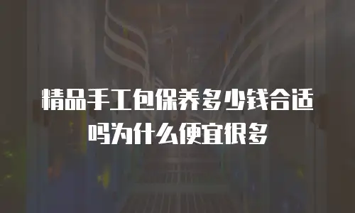 精品手工包保养多少钱合适吗为什么便宜很多