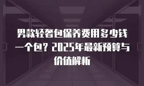 男款轻奢包保养费用多少钱一个包？2025年最新预算与价值解析