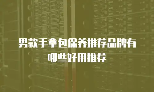 男款手拿包保养推荐品牌有哪些好用推荐