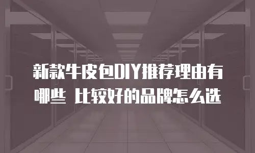 新款牛皮包DIY推荐理由有哪些 比较好的品牌怎么选