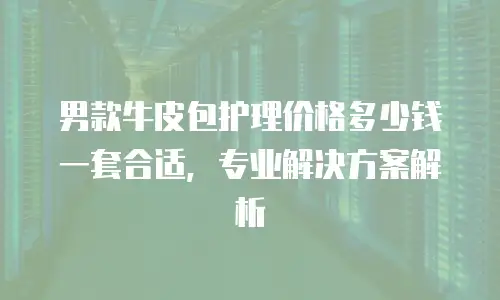 男款牛皮包护理价格多少钱一套合适，专业解决方案解析