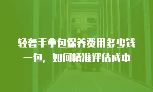 轻奢手拿包保养费用多少钱一包，如何精准评估成本