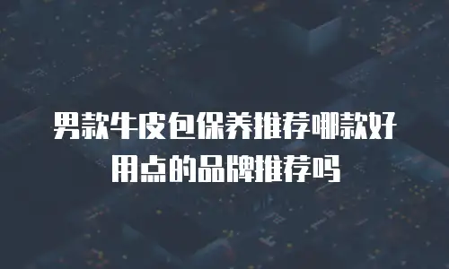 男款牛皮包保养推荐哪款好用点的品牌推荐吗