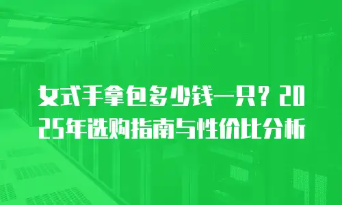 女式手拿包多少钱一只？2025年选购指南与性价比分析