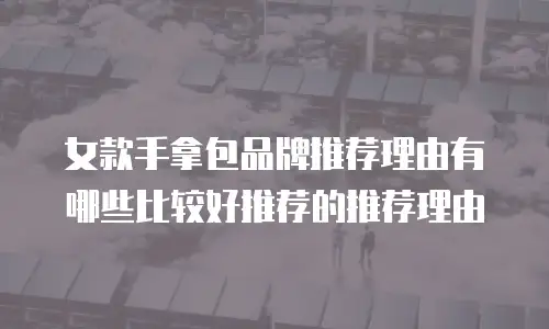 女款手拿包品牌推荐理由有哪些比较好推荐的推荐理由
