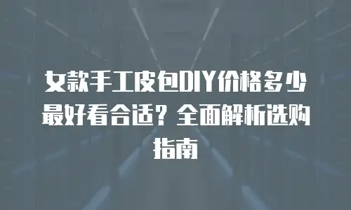 女款手工皮包DIY价格多少最好看合适？全面解析选购指南