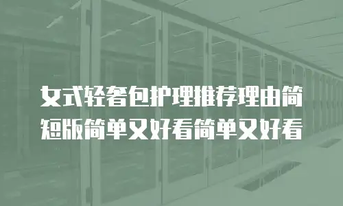 女式轻奢包护理推荐理由简短版简单又好看简单又好看