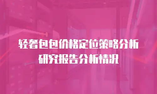 轻奢包包价格定位策略分析研究报告分析情况
