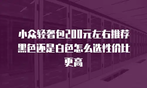 小众轻奢包200元左右推荐黑色还是白色怎么选性价比更高