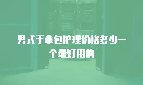 男式手拿包护理价格多少一个最好用的