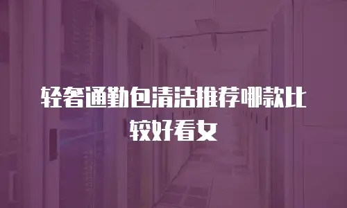 轻奢通勤包清洁推荐哪款比较好看女