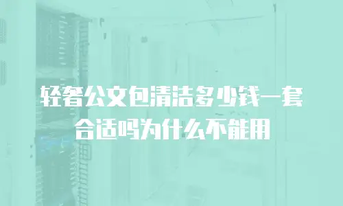 轻奢公文包清洁多少钱一套合适吗为什么不能用