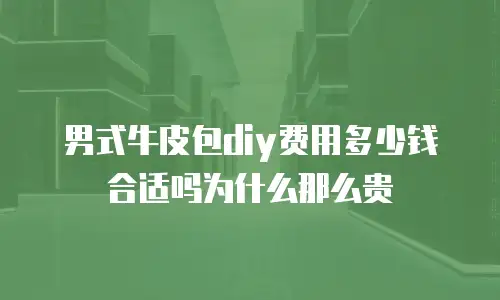 男式牛皮包diy费用多少钱合适吗为什么那么贵