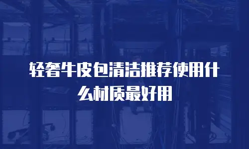 轻奢牛皮包清洁推荐使用什么材质最好用