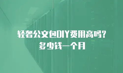 轻奢公文包DIY费用高吗？多少钱一个月