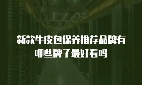 新款牛皮包保养推荐品牌有哪些牌子最好看吗
