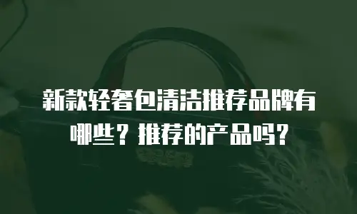 新款轻奢包清洁推荐品牌有哪些？推荐的产品吗？