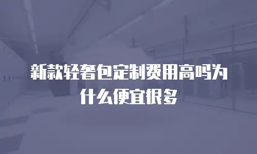 新款轻奢包定制费用高吗为什么便宜很多