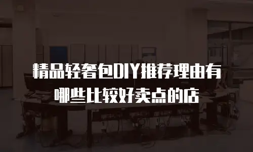 精品轻奢包DIY推荐理由有哪些比较好卖点的店