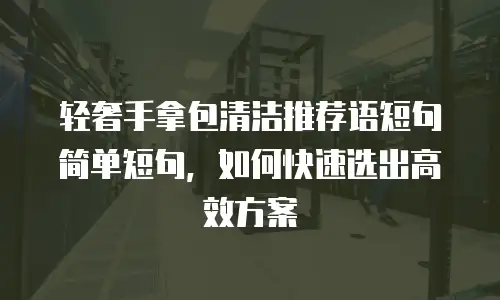 轻奢手拿包清洁推荐语短句简单短句，如何快速选出高效方案