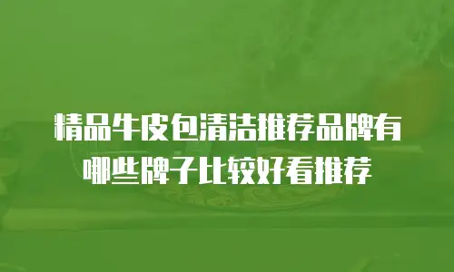 精品牛皮包清洁推荐品牌有哪些牌子比较好看推荐