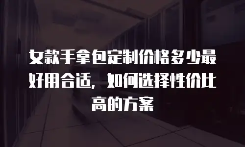 女款手拿包定制价格多少最好用合适，如何选择性价比高的方案