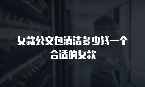 女款公文包清洁多少钱一个合适的女款