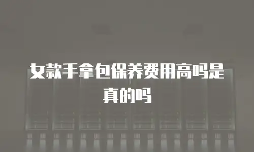 女款手拿包保养费用高吗是真的吗